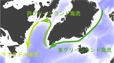 Labrador flow scheme
