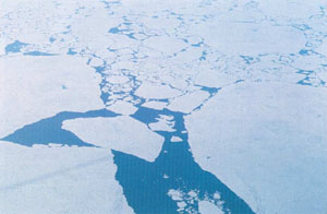 pack ice