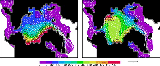 Arctic sea ice flow