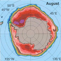 Antarctic winter sea ice