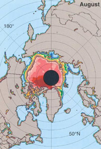 Arctic summer sea ice