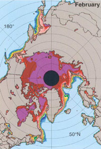 Arctic winter sea ice